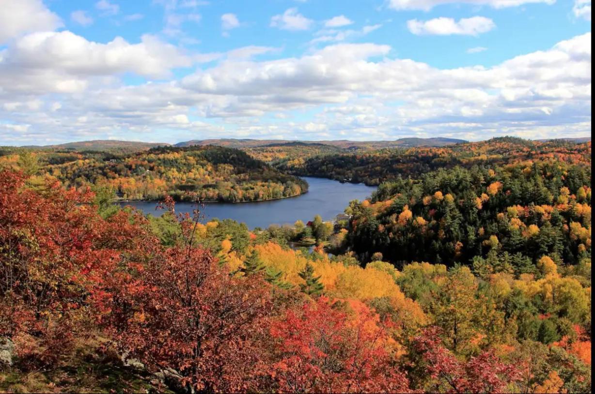 Nature Eco Suite In Wakefield Quebec Buitenkant foto
